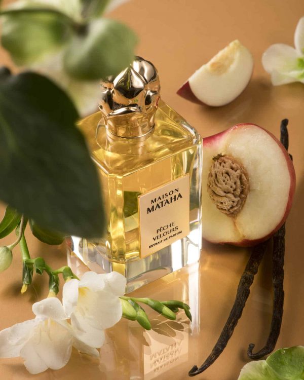 Peche velours – Image 3