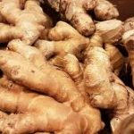 gingembre